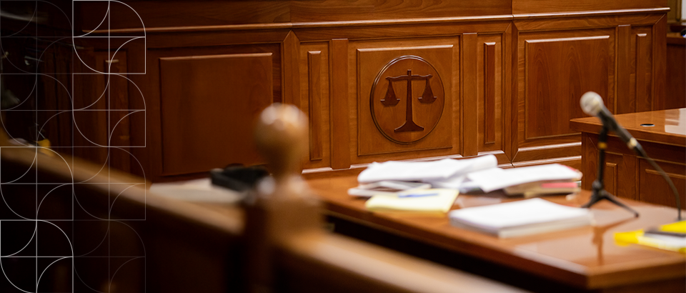 Unprofessional behaviour of non-lawyer advocates in the Employment Court