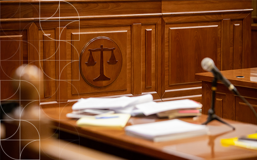 Unprofessional behaviour of non-lawyer advocates in the Employment Court