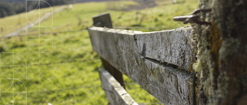 Agricultural Emissions: Farm plans and measuring emissions