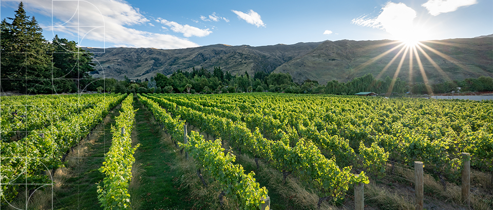 The Future of Highly Productive Land Hangs in the Balance