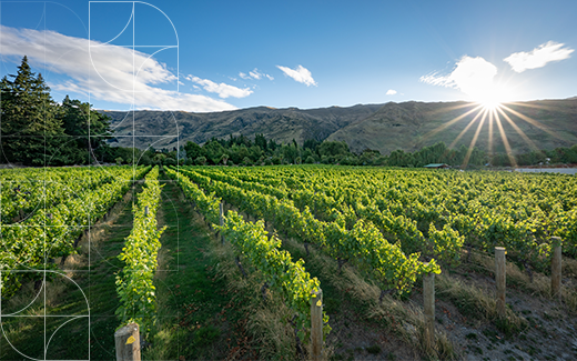 The Future of Highly Productive Land Hangs in the Balance