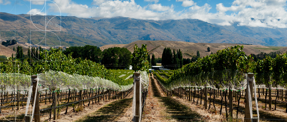 “No ‘wine-ing’ covenants” declined for a subdivision consent in Gibbston Valley
