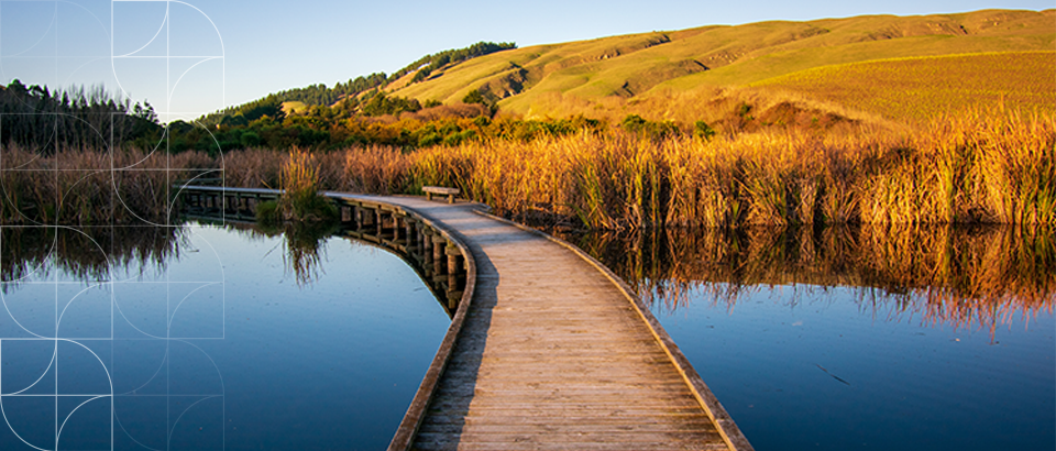Reforms to National Direction for Freshwater: Continued