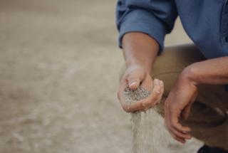 Environment report highlights serious land issues