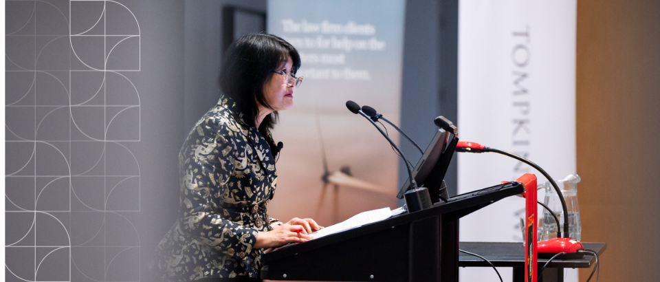 Dr Mai Chen: Taming MMP – Tompkins Wake Public Lecture 2025