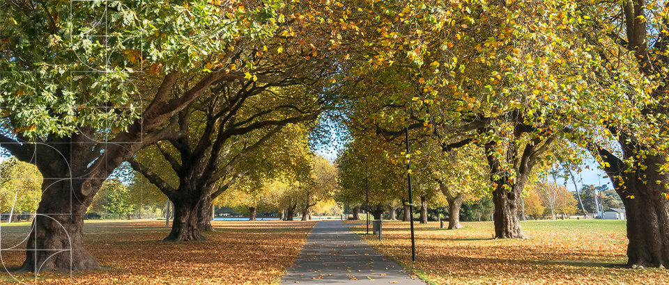 Reform Series – A New Era for Resource Management