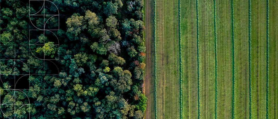 Restriction on Farm-to-Exotic Forestry Conversions