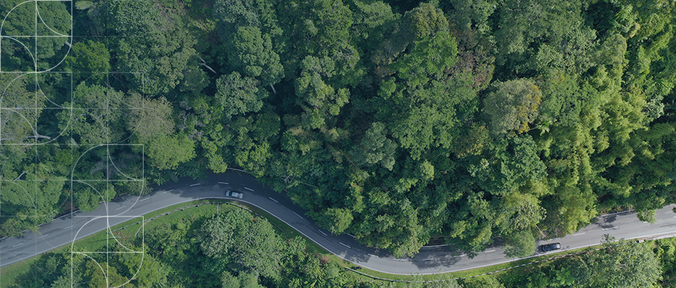 Paper Roads, Real Limits: What Councils Can and Can’t Licence